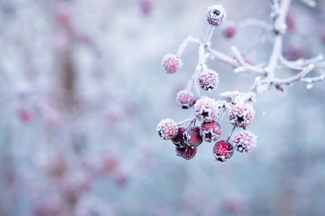 découvrez l'idéal saison, le moment parfait pour profiter des plaisirs de la nature, des activités en plein air et des découvertes culturelles. laissez-vous inspirer par les couleurs, les saveurs et les émotions de chaque saison.