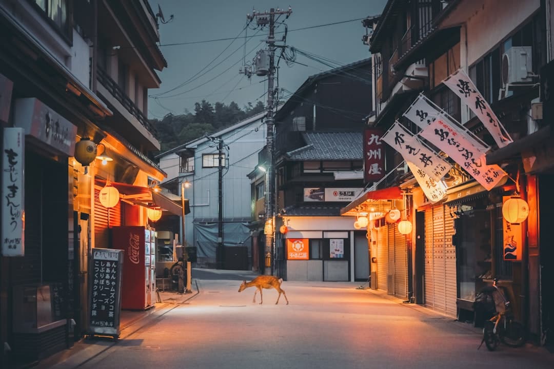 découvrez le japon comme jamais auparavant ! explorez les temples ancestraux de kyoto, la modernité de tokyo, la beauté naturelle d'hokkaido et savourez la cuisine délicieuse du pays. planifiez votre voyage au japon et plongez dans une culture riche et fascinante.